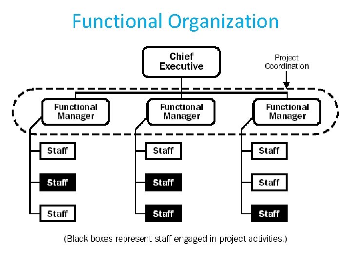 Functional Organization 