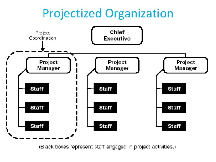 Projectized Organization Projectized Organization