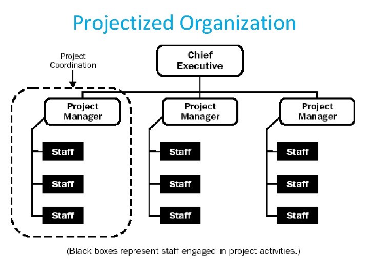 Projectized Organization 