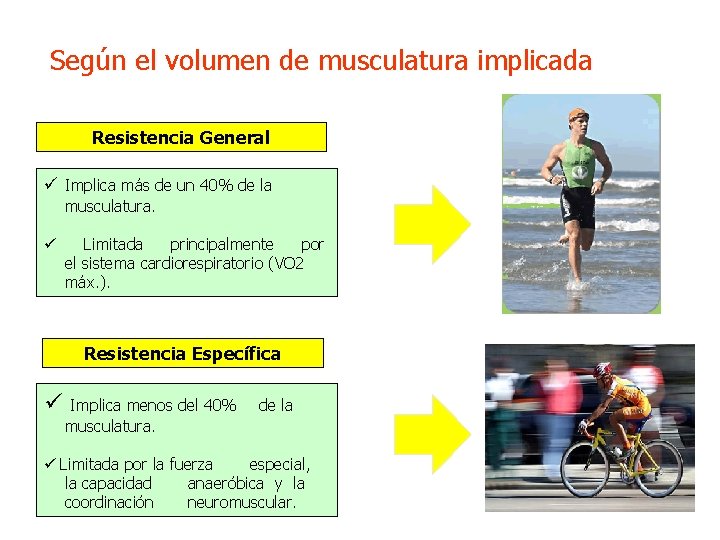 Según el volumen de musculatura implicada Resistencia General ü Implica más de un 40%