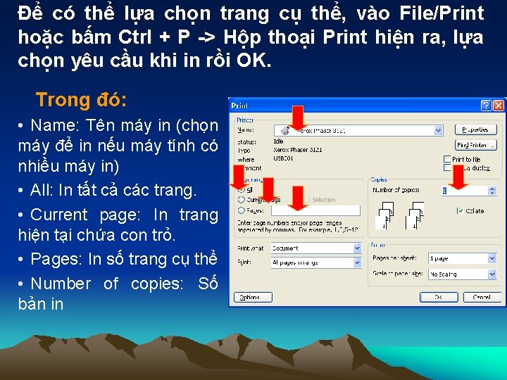 Để có thể lựa chọn trang cụ thể, vào File/Print hoặc bấm Ctrl +