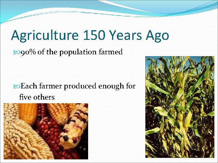 Agriculture 150 Years Ago 90% of the population farmed Each farmer produced enough for