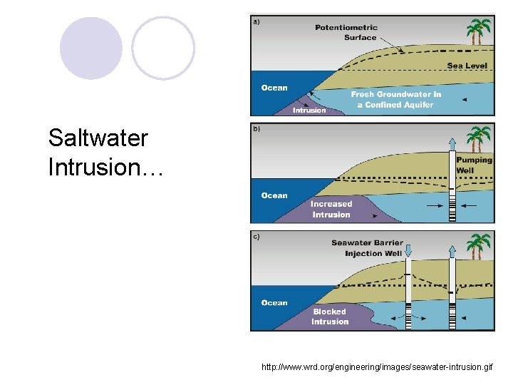 Saltwater Intrusion… http: //www. wrd. org/engineering/images/seawater-intrusion. gif 