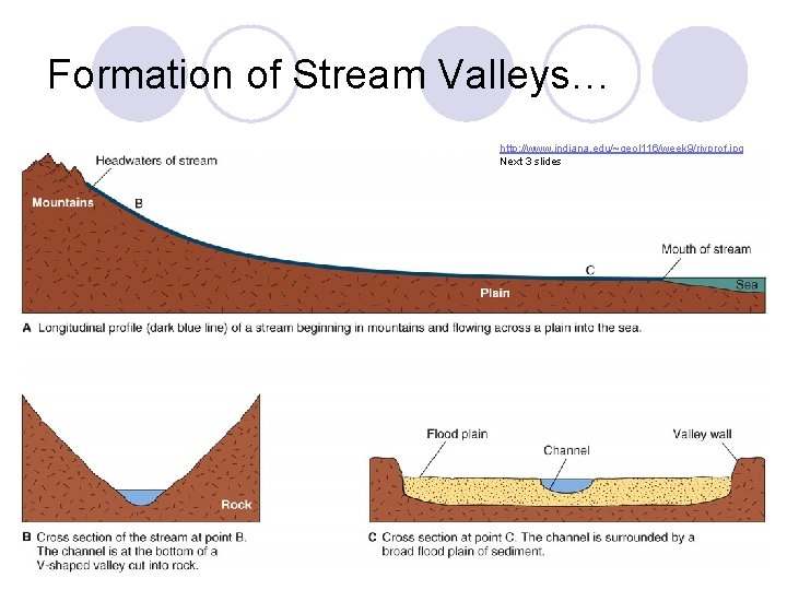 Formation of Stream Valleys… http: //www. indiana. edu/~geol 116/week 9/rivprof. jpg Next 3 slides