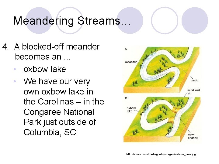 Meandering Streams… 4. A blocked-off meander becomes an … • oxbow lake • We