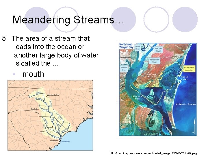 Meandering Streams… 5. The area of a stream that leads into the ocean or