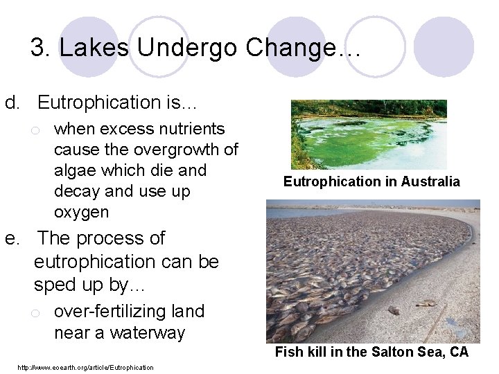 3. Lakes Undergo Change… d. Eutrophication is… o when excess nutrients cause the overgrowth