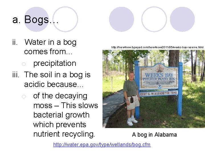 a. Bogs… ii. Water in a bog comes from… o precipitation iii. The soil