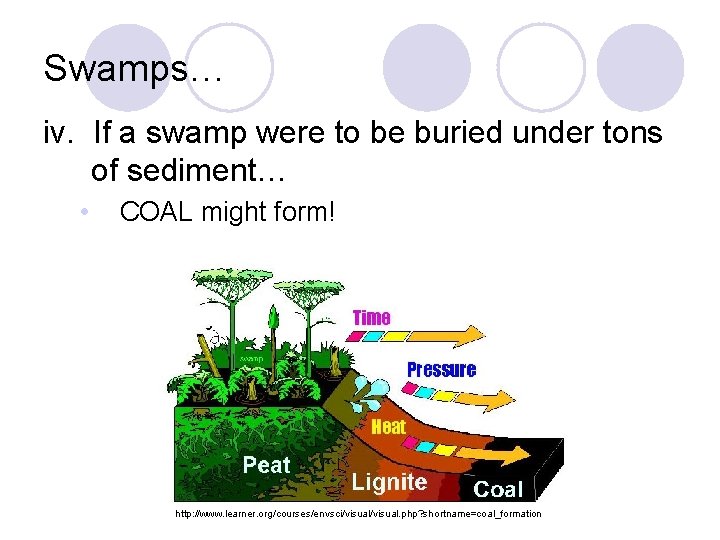 Swamps… iv. If a swamp were to be buried under tons of sediment… •