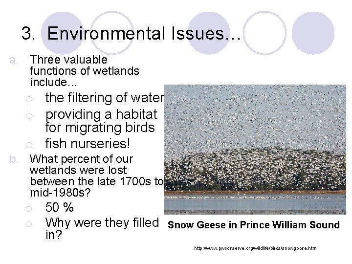 3. Environmental Issues… a. Three valuable functions of wetlands include… o the filtering of