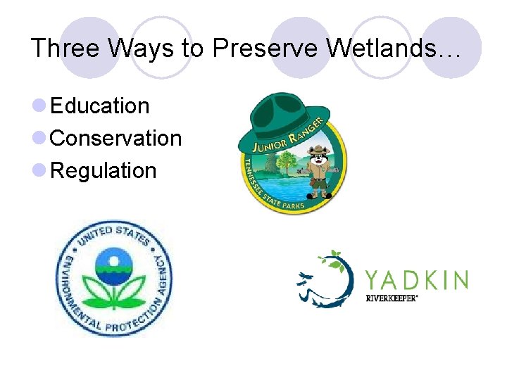 Three Ways to Preserve Wetlands… l Education l Conservation l Regulation 