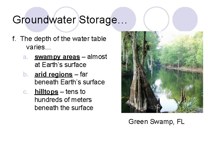 Groundwater Storage… f. The depth of the water table varies… a. swampy areas –