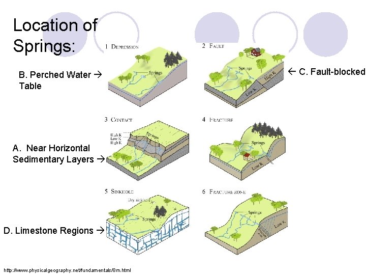 Location of Springs: B. Perched Water Table A. Near Horizontal Sedimentary Layers D. Limestone