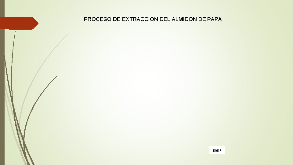 PROCESO DE EXTRACCION DEL ALMIDON DE PAPA papa PROCESO DE EXTRACCION DEL ALMIDON DE PAPA papa