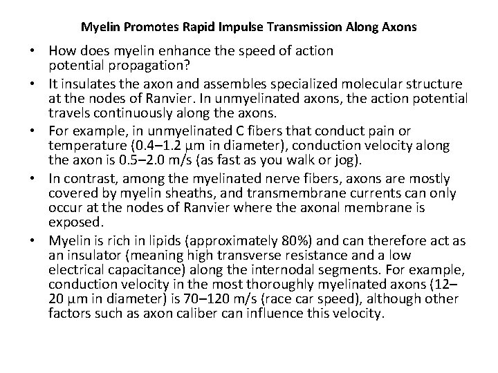 Myelin Promotes Rapid Impulse Transmission Along Axons • How does myelin enhance the speed