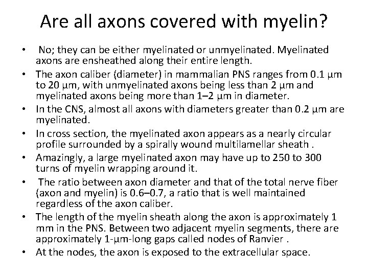 Are all axons covered with myelin? • No; they can be either myelinated or