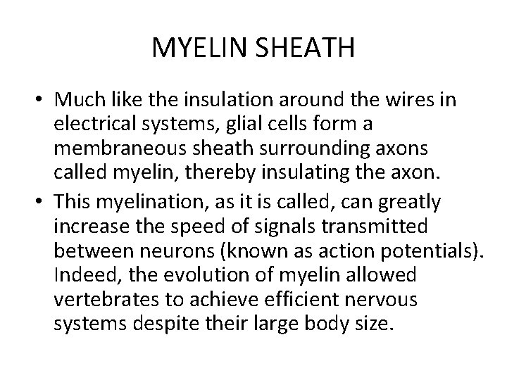 MYELIN SHEATH • Much like the insulation around the wires in electrical systems, glial