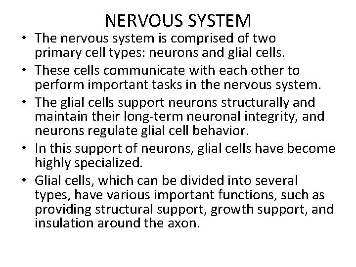 NERVOUS SYSTEM • The nervous system is comprised of two primary cell types: neurons