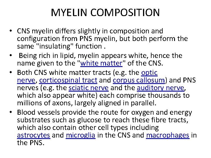 MYELIN COMPOSITION • CNS myelin differs slightly in composition and configuration from PNS myelin,