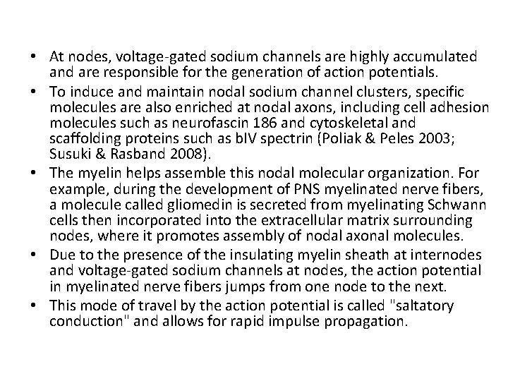  • At nodes, voltage-gated sodium channels are highly accumulated and are responsible for