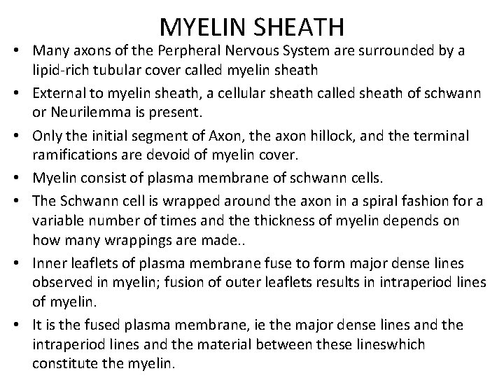 MYELIN SHEATH • Many axons of the Perpheral Nervous System are surrounded by a