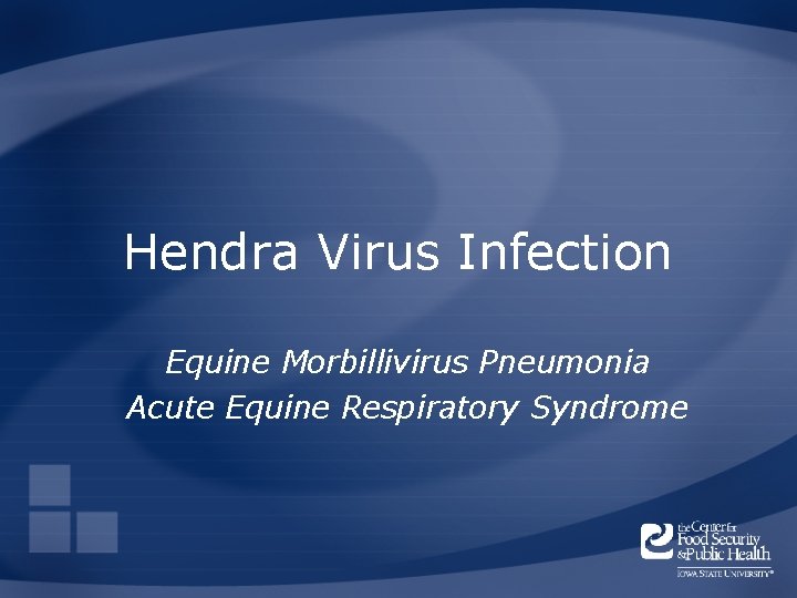 Hendra Virus Infection Equine Morbillivirus Pneumonia Acute Equine Respiratory Syndrome 