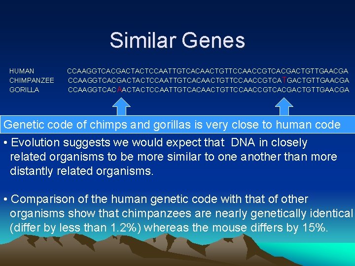 Similar Genes HUMAN CCAAGGTCACGACTACTCCAATTGTCACAACTGTTCCAACCGTCACGACTGTTGAACGA CHIMPANZEE CCAAGGTCACGACTACTCCAATTGTCACAACTGTTCCAACCGTCA TGACTGTTGAACGA GORILLA CCAAGGTCACAACTACTCCAATTGTCACAACTGTTCCAACCGTCACGACTGTTGAACGA Genetic code of chimps and