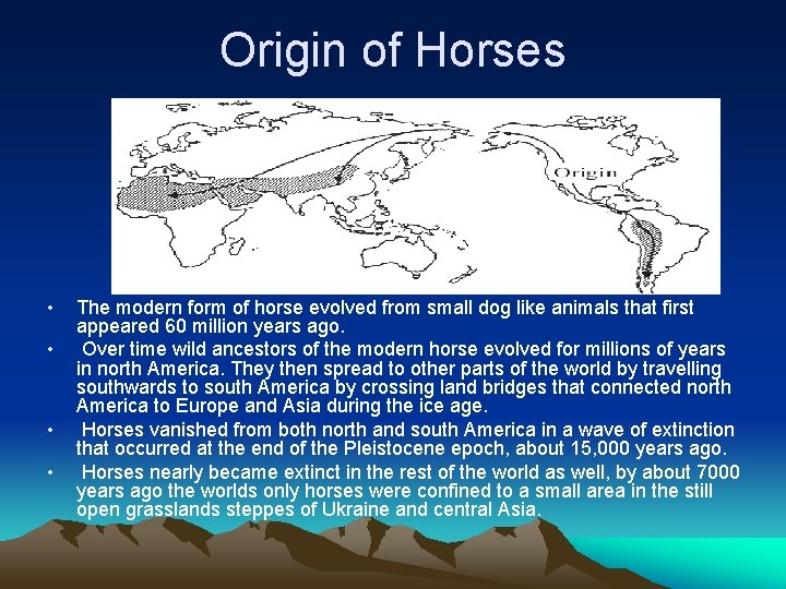 Origin of Horses • • The modern form of horse evolved from small dog