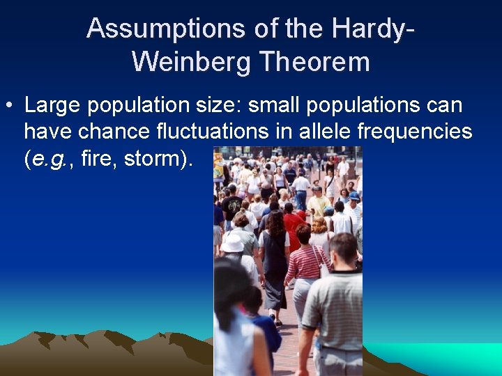 Assumptions of the Hardy. Weinberg Theorem • Large population size: small populations can have