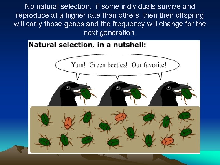 No natural selection: if some individuals survive and reproduce at a higher rate than