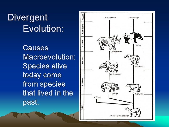 Divergent Evolution: Causes Macroevolution: Species alive today come from species that lived in the
