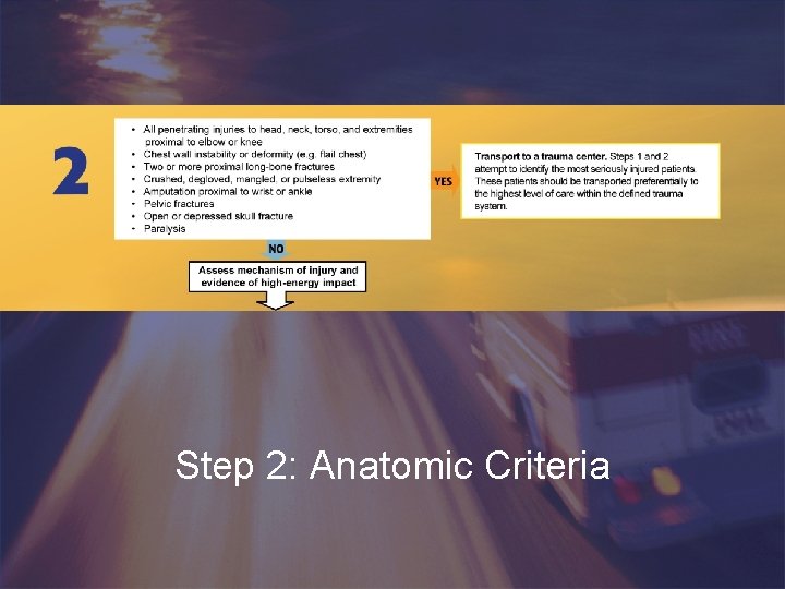 Step 2: Anatomic Criteria 