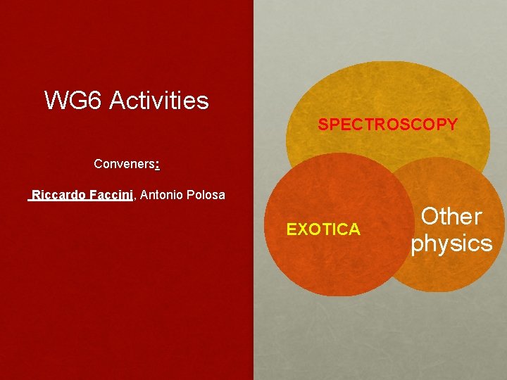 WG 6 Activities SPECTROSCOPY Conveners: Riccardo Faccini, Antonio Polosa EXOTICA Other physics 