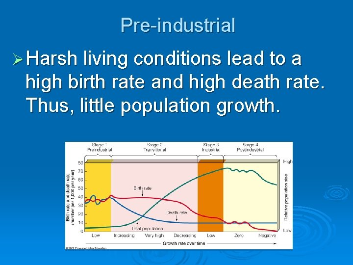 Pre-industrial Ø Harsh living conditions lead to a high birth rate and high death