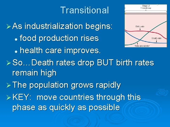 Transitional Ø As industrialization begins: food production rises l health care improves. Ø So…Death