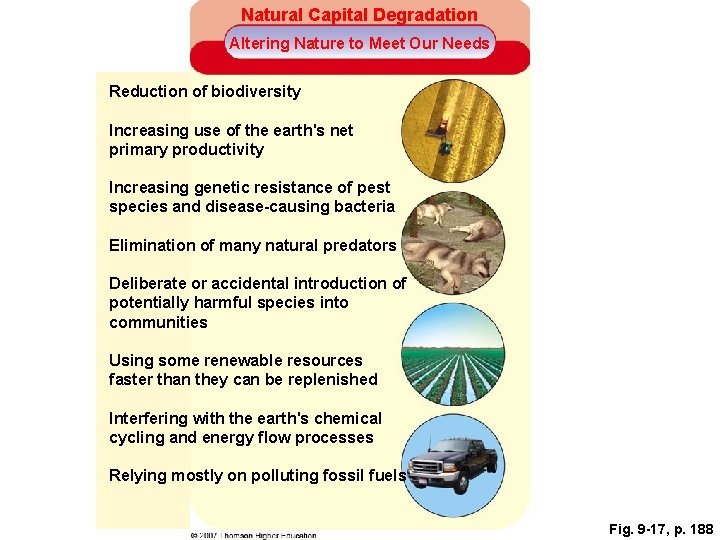 Natural Capital Degradation Altering Nature to Meet Our Needs Reduction of biodiversity Increasing use