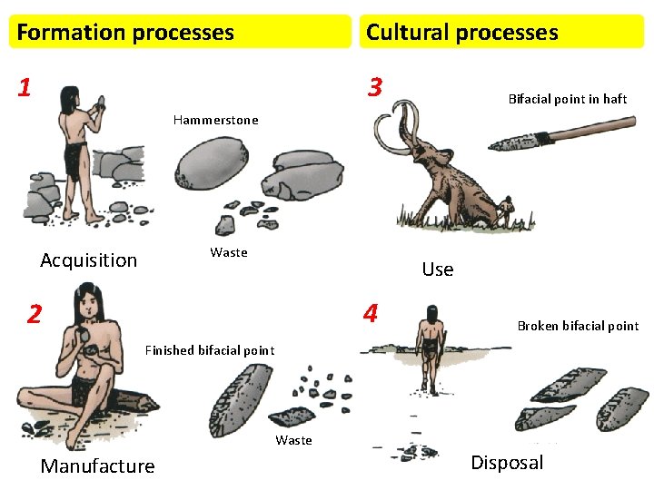 Formation processes Cultural processes 1 3 Bifacial point in haft Hammerstone Waste Acquisition Use