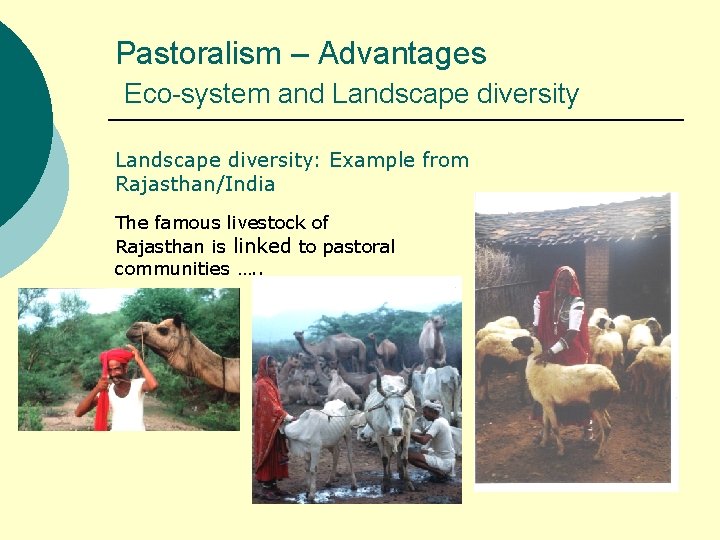 Pastoralism – Advantages Eco-system and Landscape diversity: Example from Rajasthan/India The famous livestock of