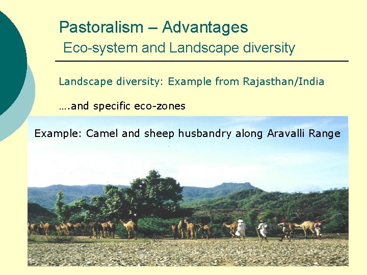 Pastoralism – Advantages Eco-system and Landscape diversity: Example from Rajasthan/India …. and specific eco-zones