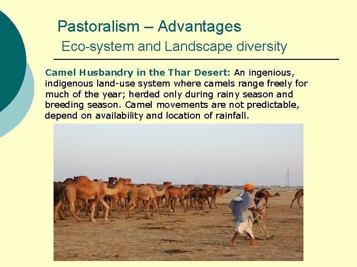 Pastoralism – Advantages Eco-system and Landscape diversity Camel Husbandry in the Thar Desert: An