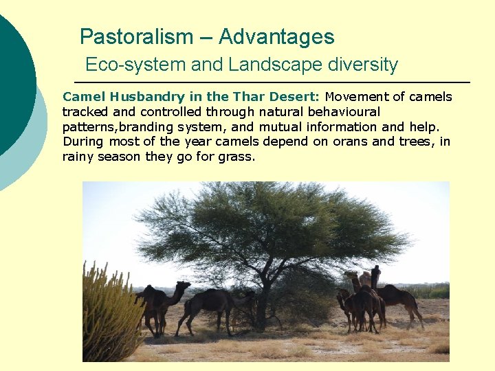 Pastoralism – Advantages Eco-system and Landscape diversity Camel Husbandry in the Thar Desert: Movement
