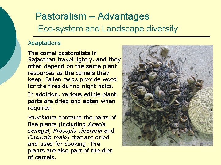 Pastoralism – Advantages Eco-system and Landscape diversity Adaptations The camel pastoralists in Rajasthan travel
