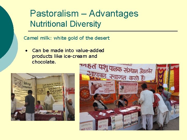 Pastoralism – Advantages Nutritional Diversity Camel milk: white gold of the desert • Can