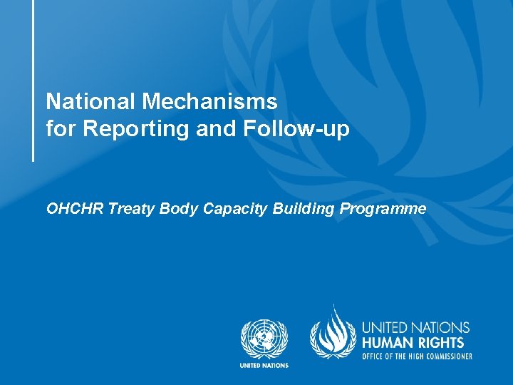 National Mechanisms for Reporting and Follow-up OHCHR Treaty Body Capacity Building Programme 