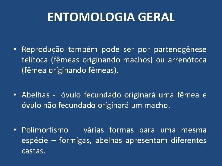 ENTOMOLOGIA GERAL • Reprodução também pode ser por partenogênese telítoca (fêmeas originando machos) ou ENTOMOLOGIA GERAL • Reprodução também pode ser por partenogênese telítoca (fêmeas originando machos) ou
