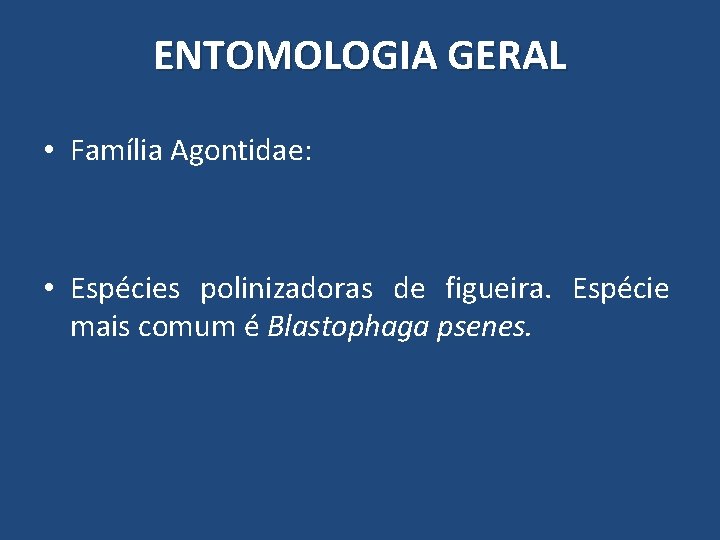 ENTOMOLOGIA GERAL • Família Agontidae: • Espécies polinizadoras de figueira. Espécie mais comum é ENTOMOLOGIA GERAL • Família Agontidae: • Espécies polinizadoras de figueira. Espécie mais comum é