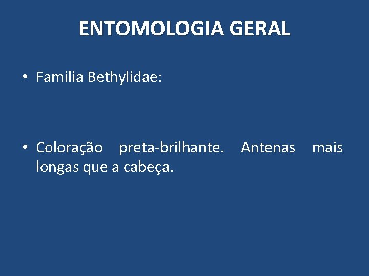 ENTOMOLOGIA GERAL • Familia Bethylidae: • Coloração preta-brilhante. Antenas mais longas que a cabeça. ENTOMOLOGIA GERAL • Familia Bethylidae: • Coloração preta-brilhante. Antenas mais longas que a cabeça.