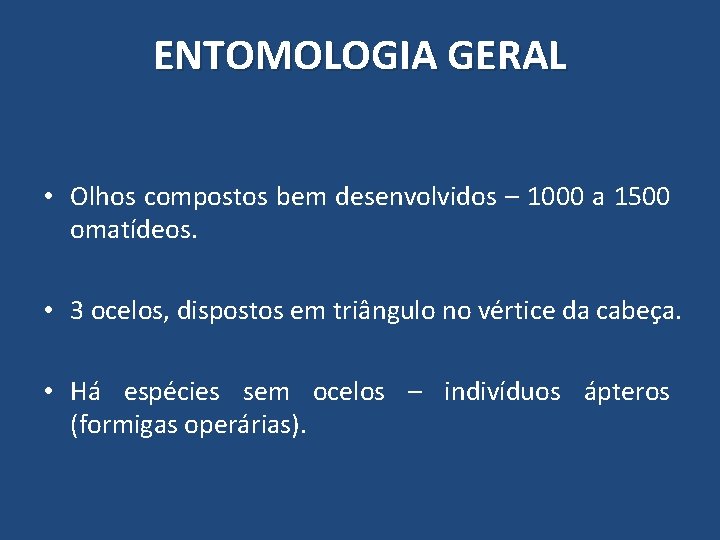 ENTOMOLOGIA GERAL • Olhos compostos bem desenvolvidos – 1000 a 1500 omatídeos. • 3 ENTOMOLOGIA GERAL • Olhos compostos bem desenvolvidos – 1000 a 1500 omatídeos. • 3