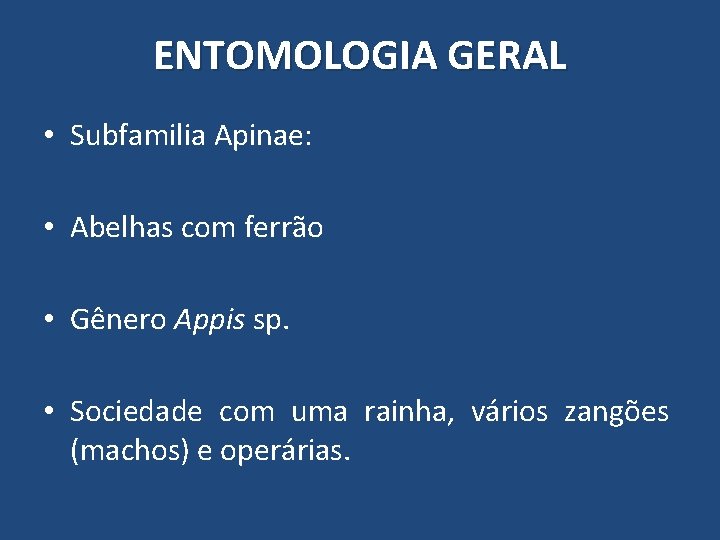 ENTOMOLOGIA GERAL • Subfamilia Apinae: • Abelhas com ferrão • Gênero Appis sp. • ENTOMOLOGIA GERAL • Subfamilia Apinae: • Abelhas com ferrão • Gênero Appis sp. •