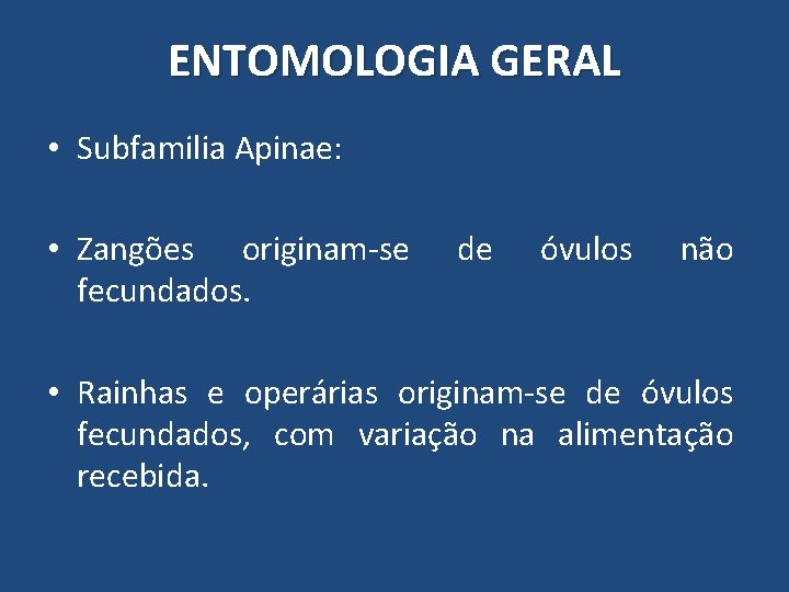 ENTOMOLOGIA GERAL • Subfamilia Apinae: • Zangões originam-se fecundados. de óvulos não • Rainhas ENTOMOLOGIA GERAL • Subfamilia Apinae: • Zangões originam-se fecundados. de óvulos não • Rainhas